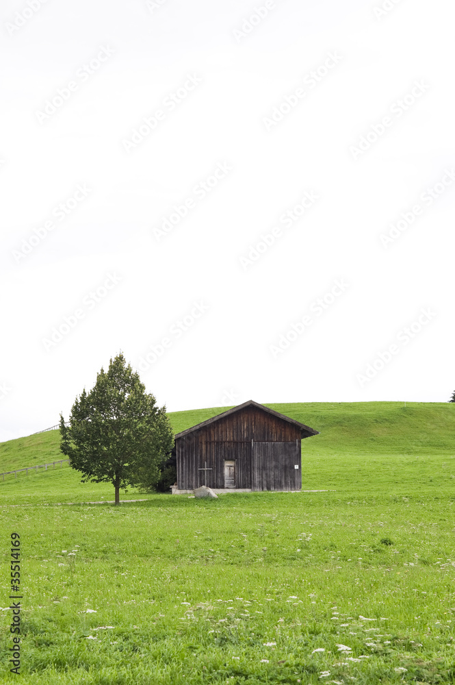 Haus auf Wiese#2 Haus auf Wiese#2