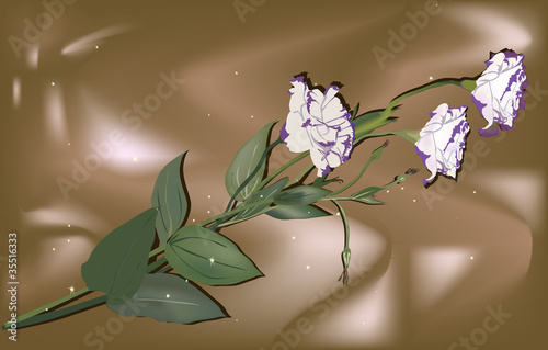 white and lilac flowers illustration