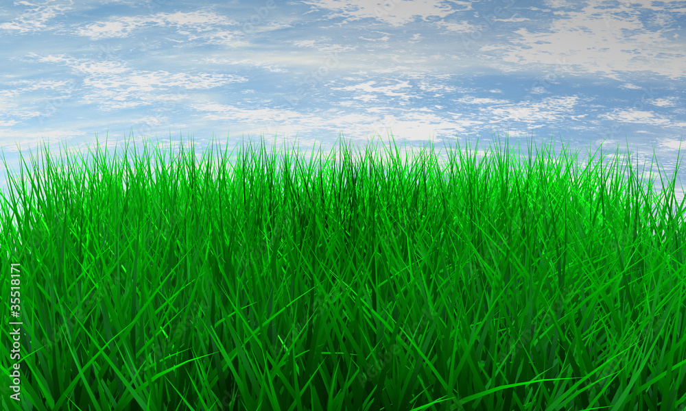 Obraz premium Green color grass