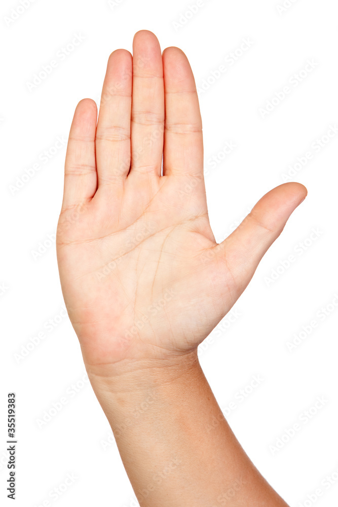 Open hand Open hand