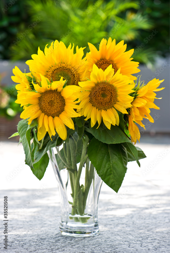 Sunflowers in a transparent glass vase on nature background Stock Photo ...