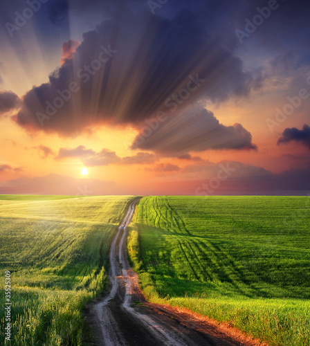 Fototapeta Naklejka Na Ścianę i Meble -  morning in meadow