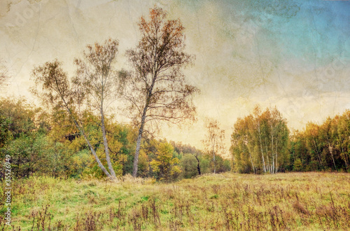 Summer field under sky in grunge style