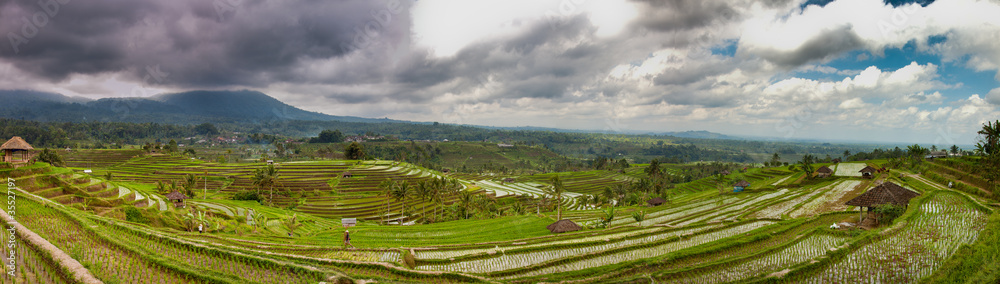 Fototapeta premium Reisterrassen Panorama