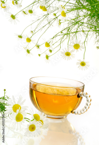 Cup of chamomile tea with fresh chamomilla flowers over white