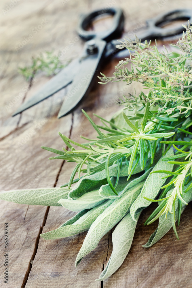 Obraz premium Freshly harvested herbs