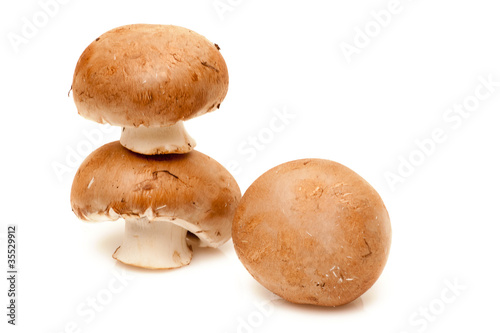 three champignons