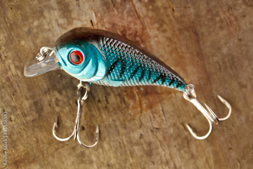 fishing lure fishing lure