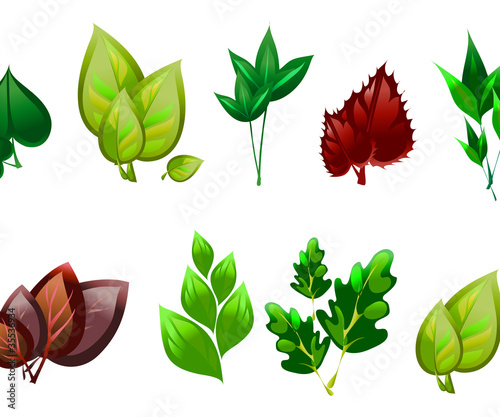 leaves