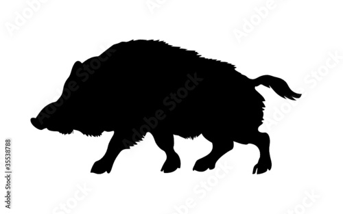 silhouette of the wild  boar isolated on white background