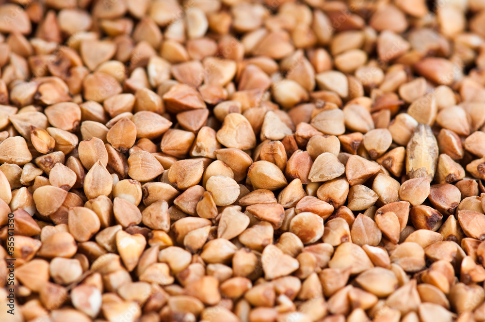 buckwheat texture buckwheat texture