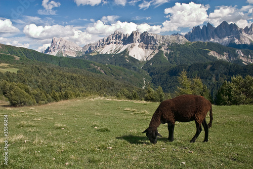 dolomiti © Antonio Terzo