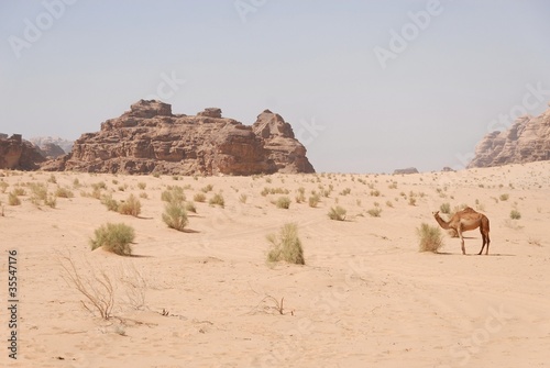 WADI RUM DESERT  III   JORDAN