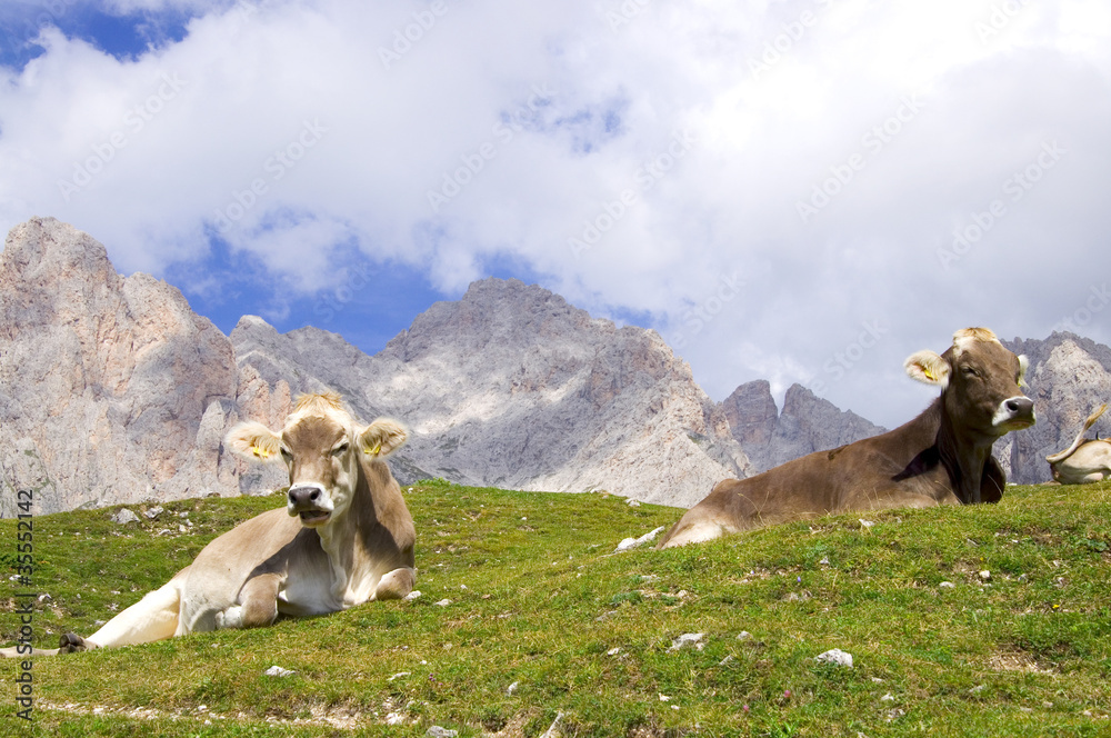 Geislergruppe - Dolomiten - Alpen