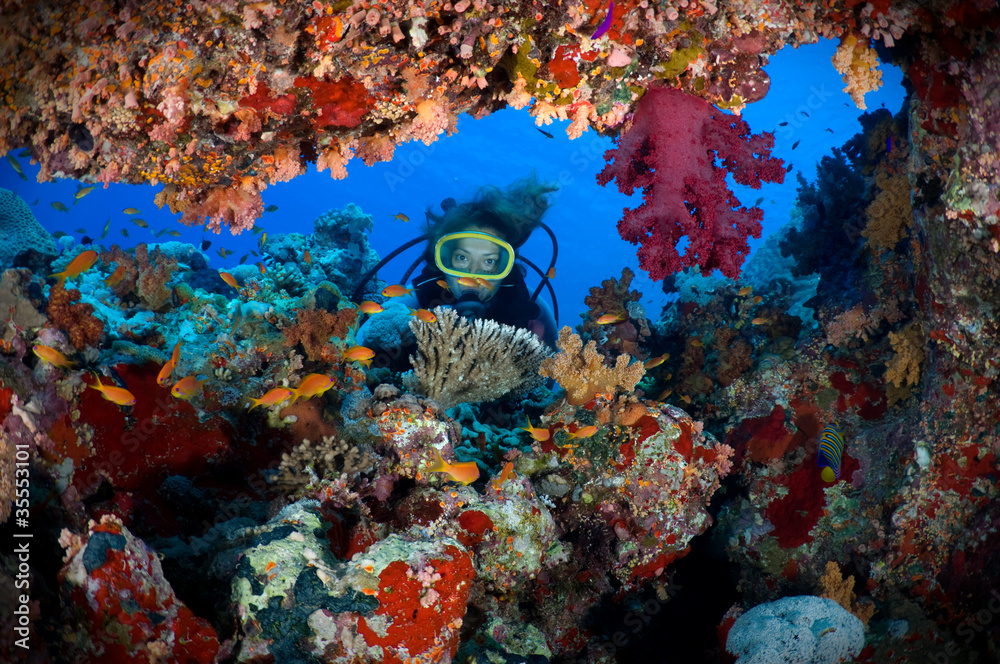 Fototapeta premium Woman scuba diver exploring soft corals.