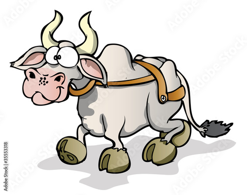 Indian cow