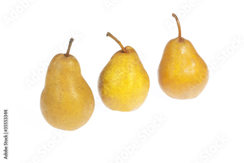 alexander pears on white