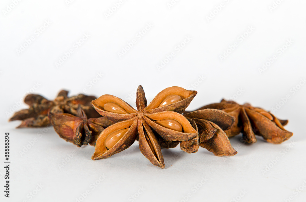 Sternanis Sternanis