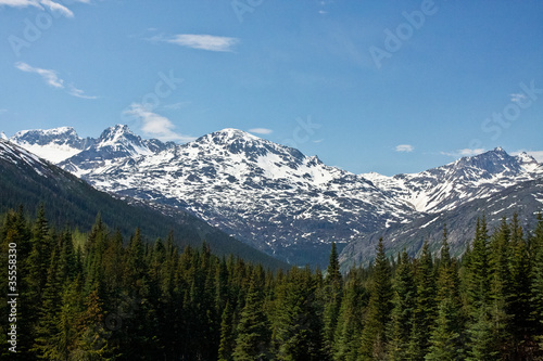 White Pass & Yukon Route View