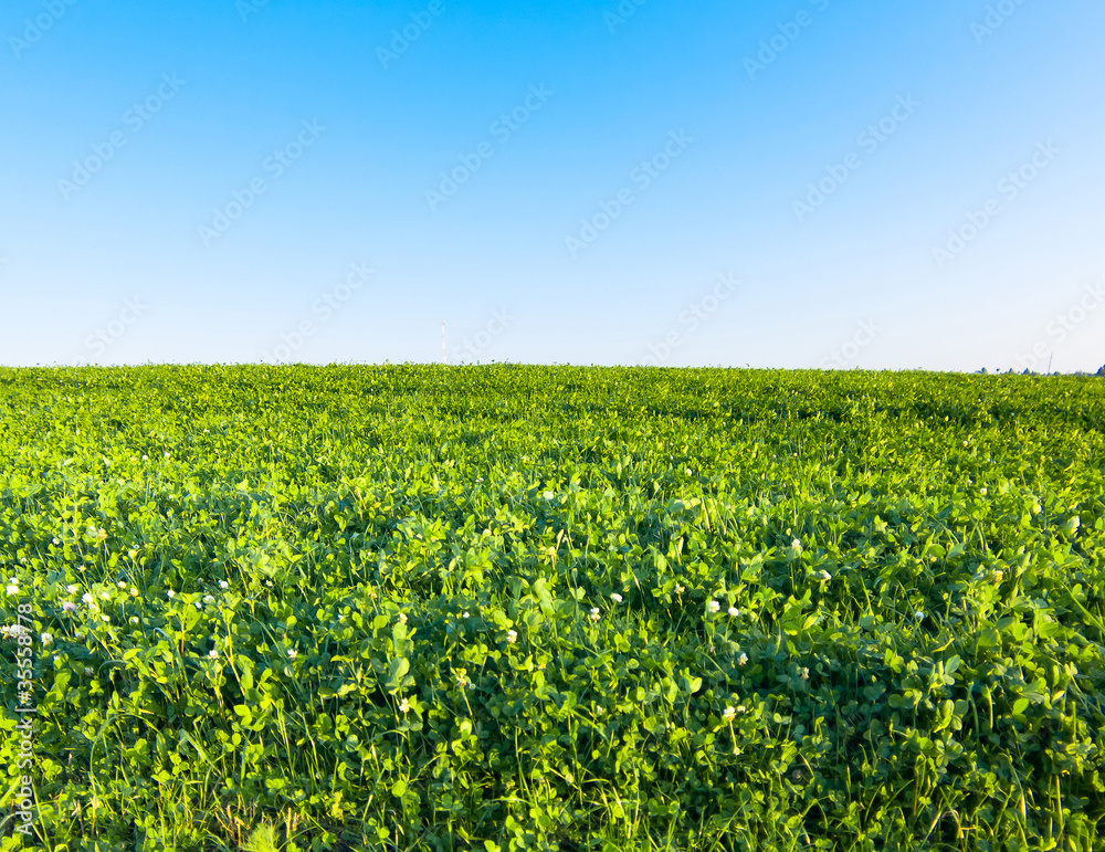 Farming Grass Area Country Meadow