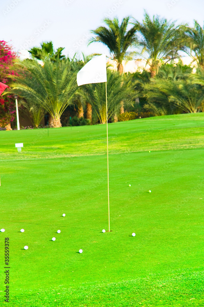 Obraz premium Green Landscape Field