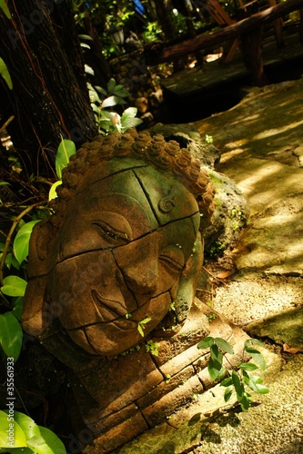 Buddha head