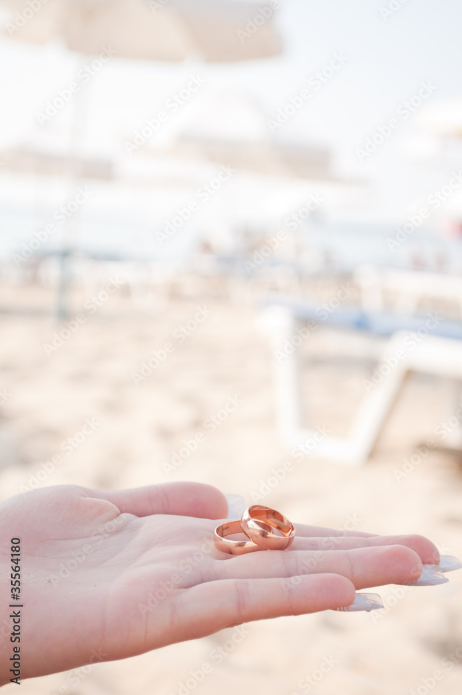 Fototapeta premium wedding rings in the hands of women