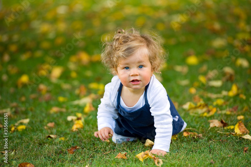 baby is crawling in the fall-meadow