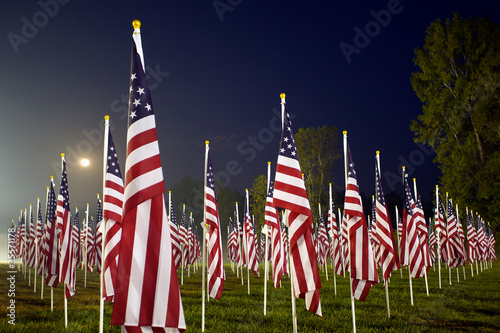 Flags in the Healing Fields for 9/11