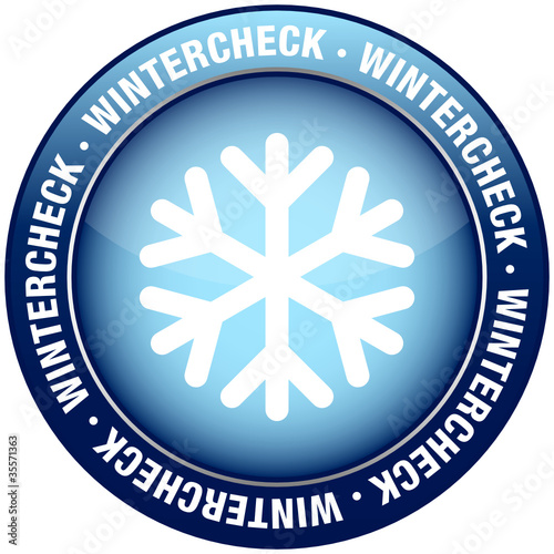 Button Wintercheck blau Schneeflocke