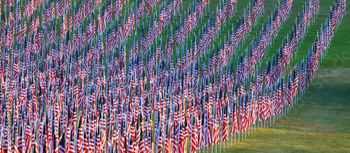 Flags in the Healing Fields for 9/11