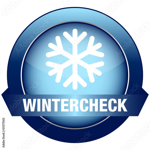 Button Wintercheck Schneeflocke blau