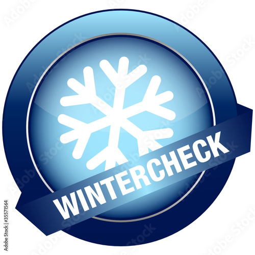 Button Wintercheck Schneeflocke schräg blau