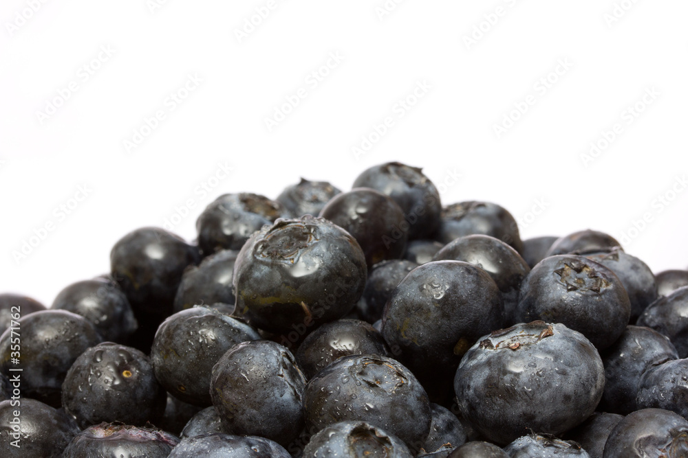 Blueberry Blueberry