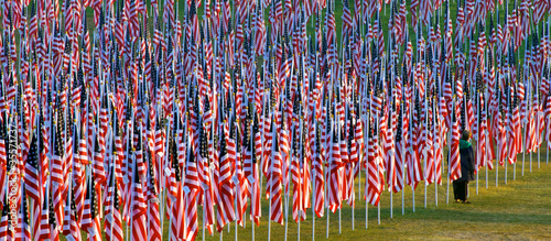 Flags in the Healing Fields for 9/11