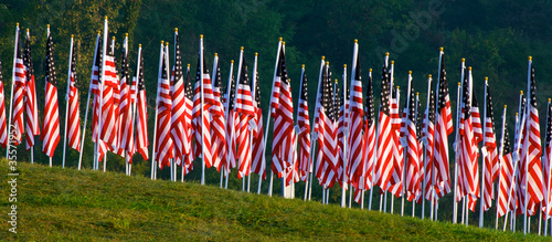 Flags in the Healing Fields for 9/11