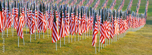 Flags in the Healing Fields for 9/11