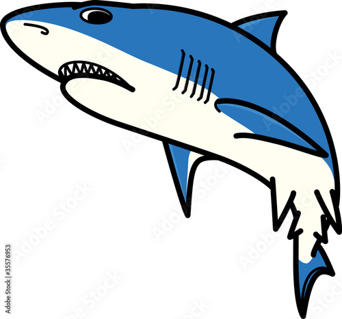 サメ　Shark