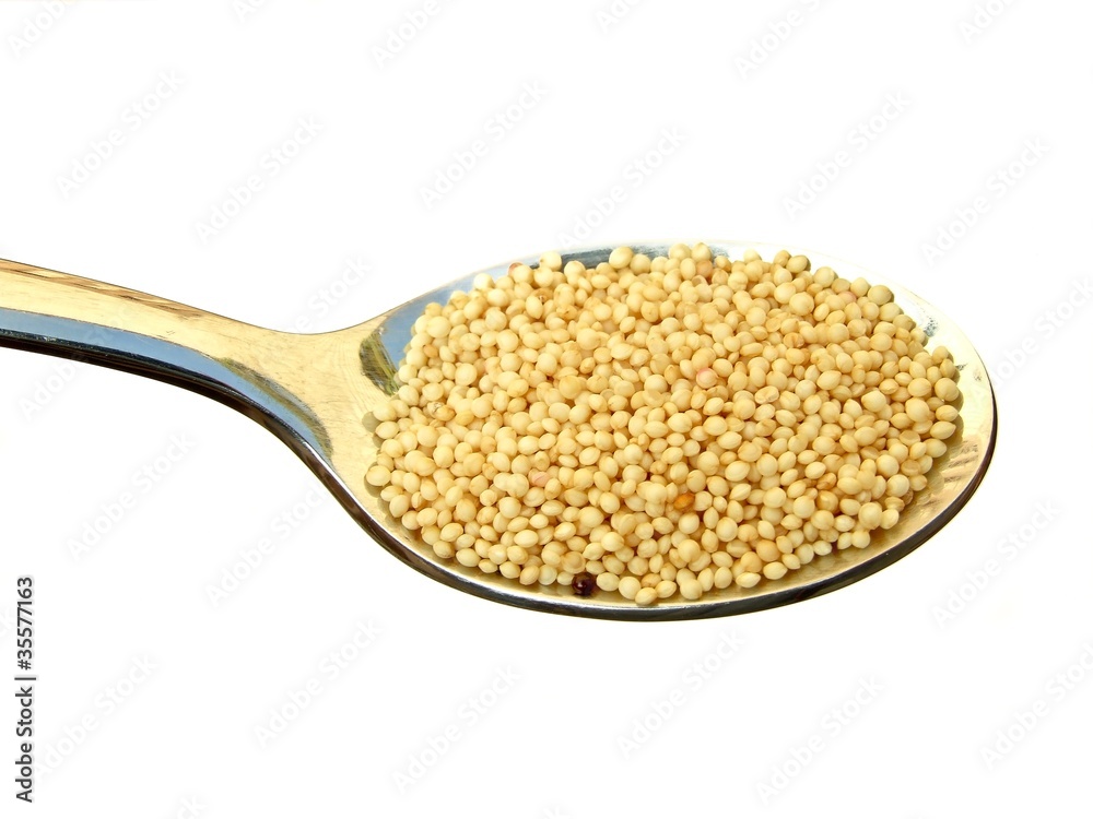 Amaranth auf einem Löffel, freigestellt, Freisteller Amaranth auf einem Löffel, freigestellt, Freisteller