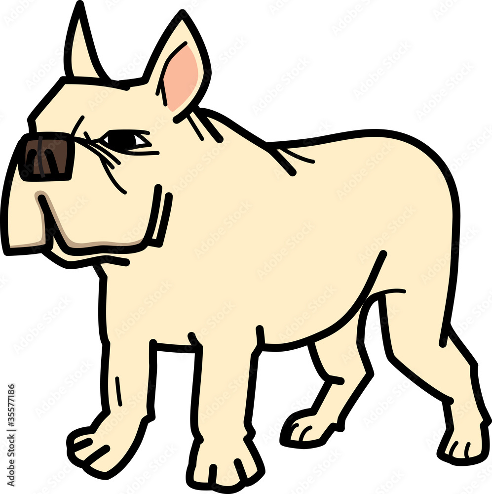 フレンチブルドッグ French Bulldog
