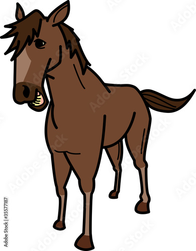       Horse