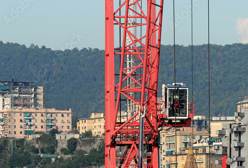 red crane photo