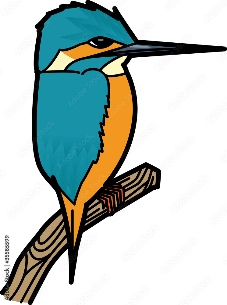 Obraz premium カワセミ CommonKingfisher