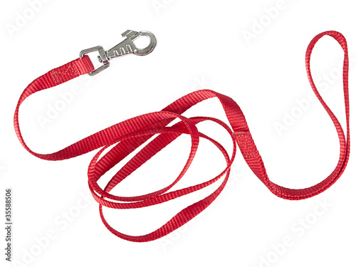 Red nylon dog lead or leash isolated over white photo