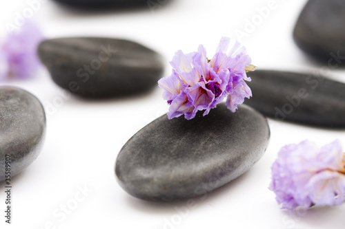 piedras con flor violeta