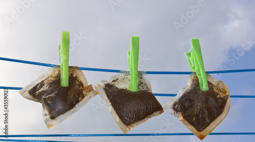 used tea bags on washing line