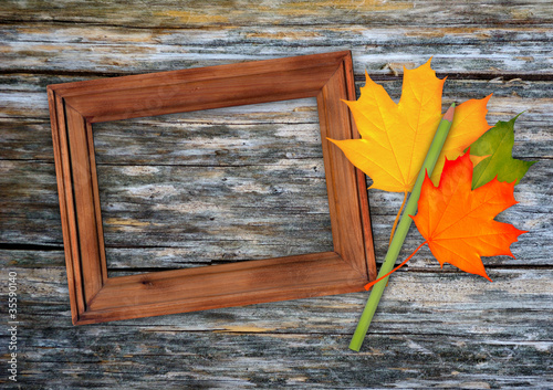 Autumn frame