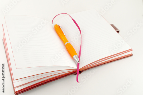 Notebook and orange pen