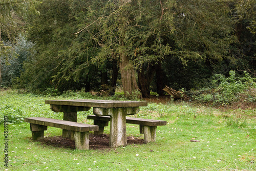 Bench in Country Park