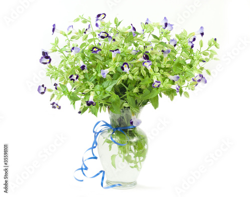 Beautiful bouquet of fresh purple torenias in a vase. photo